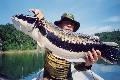 рыбалка таиланд, рыбалка пхукет, рыбалка Пхи Пхи, экзотическая рыбалка, рыбалка Паттайя, рыбалка самуи, рыбалка самет